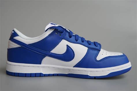 nike dunks herren blau|Nike dunks blue.